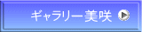 ギャラリー美咲